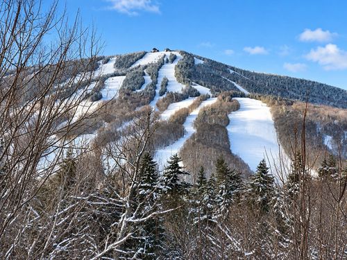 17A Silver Birch, Dover, VT, 05356 | Card Image