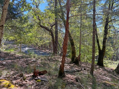 25940 Poppy Pl, Willits, CA, 95490-8430 | Card Image