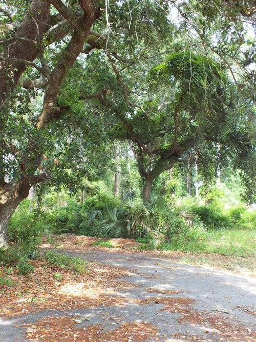 000 Eventide Rd, Milton, FL, 32583 | Card Image