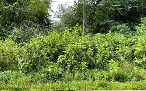 LOT 27 Sneaking Creek Dr, Hayesville, NC, 28904-6452 | Card Image