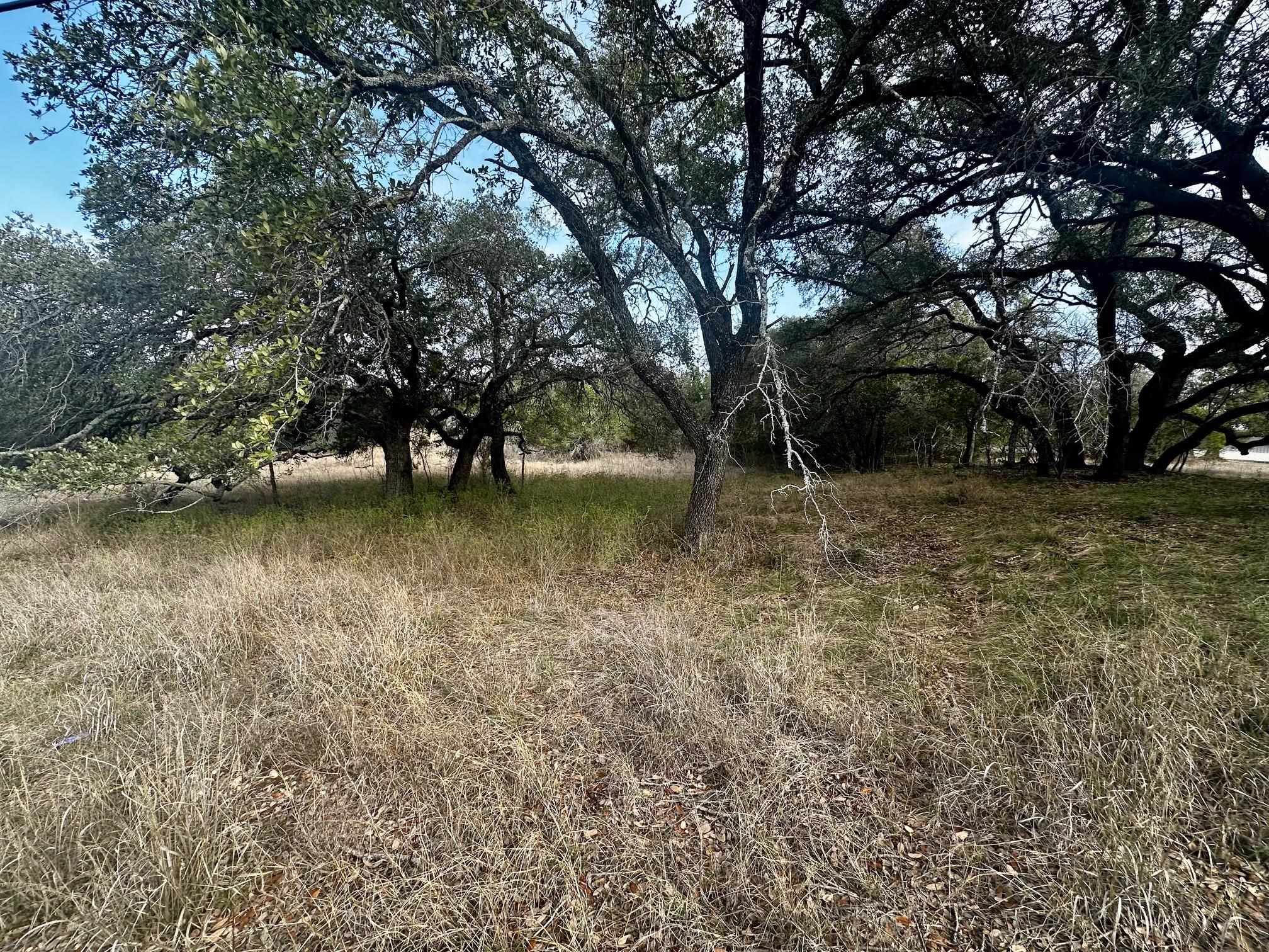 Land in Spicewood 4