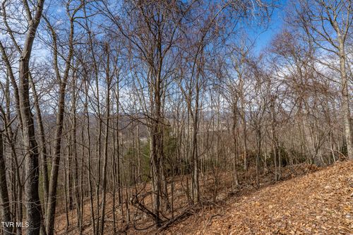 Tbd Iroquois Rd, Mountain City, TN, 37683 | Card Image