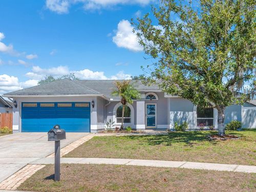 2805 Tammarron Ln, BRANDON, FL, 33511-7565 | Card Image