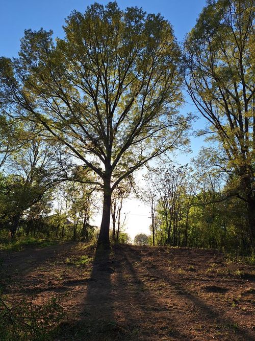 0 Bone Cave Rd, Rock Island, TN, 38581 | Card Image