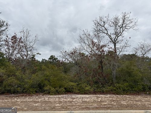 0 Plantation Pines Dr, Blackshear, GA, 31516 | Card Image