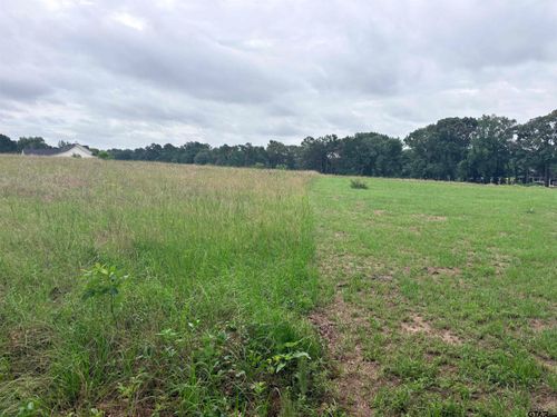 TBD LOT 2 County Road 401, Henderson, TX, 75654 | Card Image