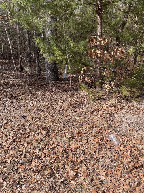 TBD Wildwood, Murchison, TX, 75778 | Card Image