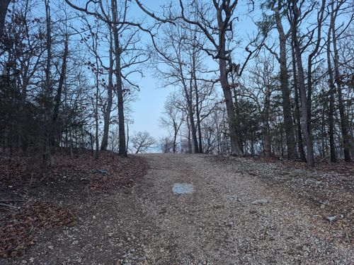 605 Shelton Drive, Hollister, MO, 65672 | Card Image