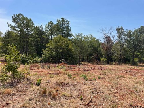 12319 Oak Grove Dr, Tyler, TX, 75706 | Card Image