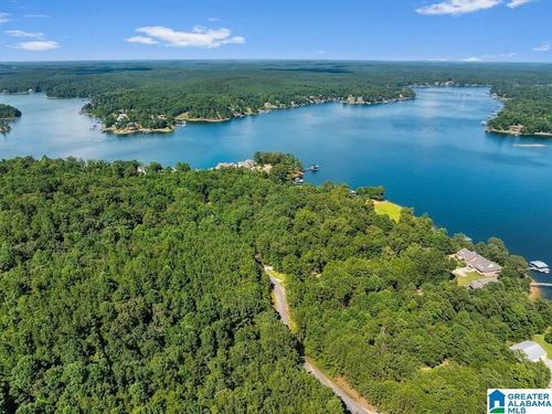 1-000 Lake Pointe Dr, Arley, AL, 35541 | Card Image