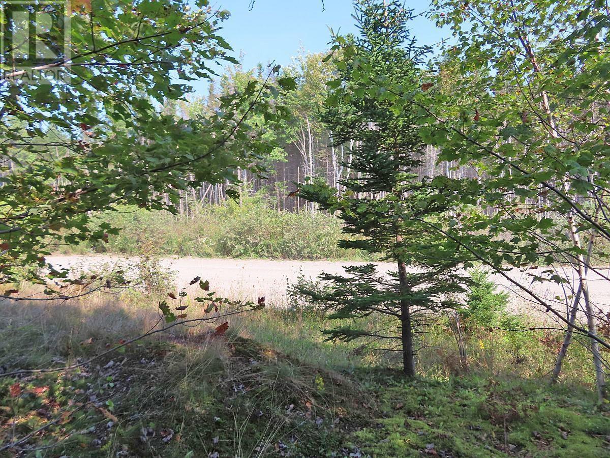 Land in Evanston 4