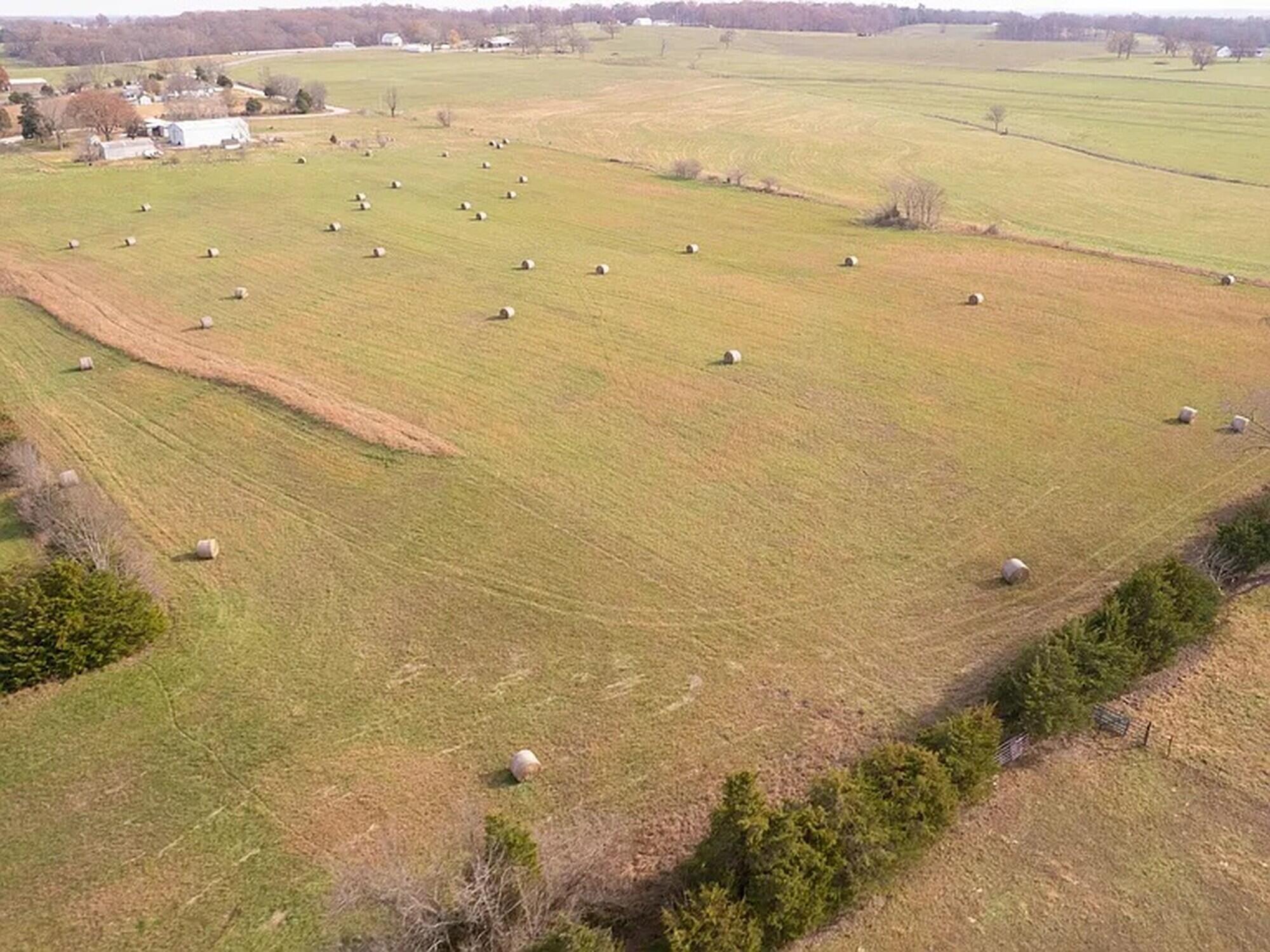 Land in Conway 5