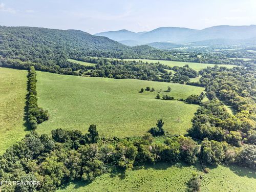 5210 Lowes Gap Rd, Pikeville, TN, 37367 | Card Image