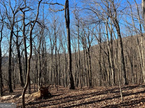 4546-0 Sassafras Ct, Jasper, GA, 30143 | Card Image