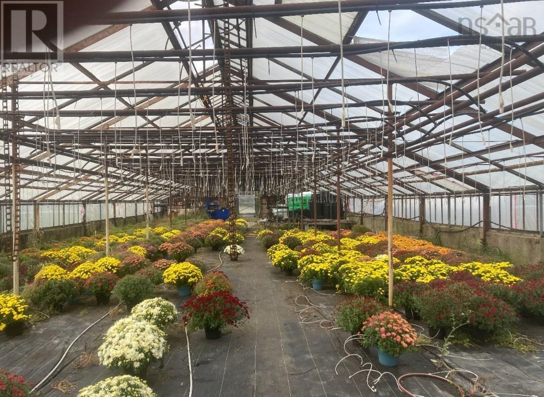 Business Opportunity in Upper North Sydney 4