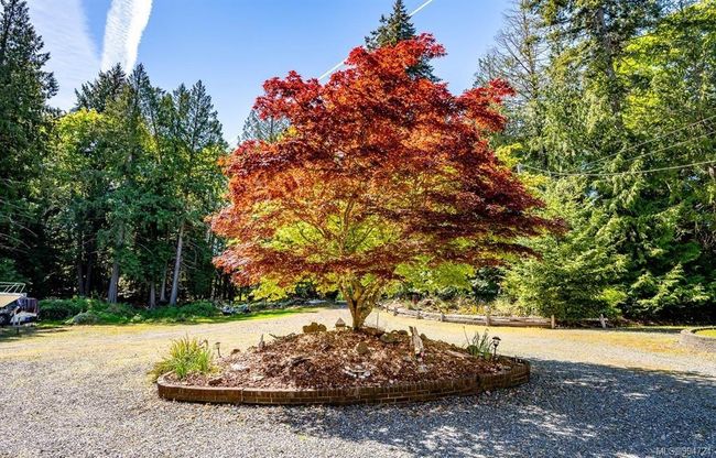 5145 Gainsberg Rd, House other with 5 bedrooms, 3 bathrooms and 3 parking in Bowser BC | Image 70