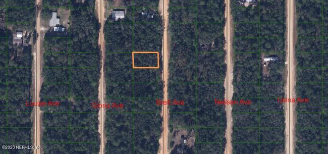 lot 30 Brett Avenue, Home with 0 bedrooms, 0 bathrooms and null parking in Interlachen FL | Image 1