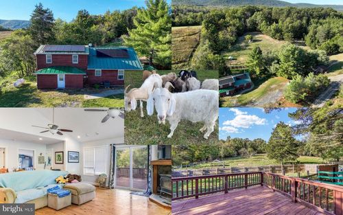 100 Wolfs Ln, FORT VALLEY, VA, 22652-2137 | Card Image