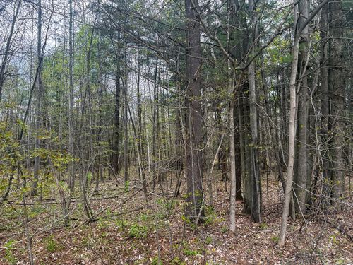 0 Callahan Road, Burke, NY, 12917 | Card Image