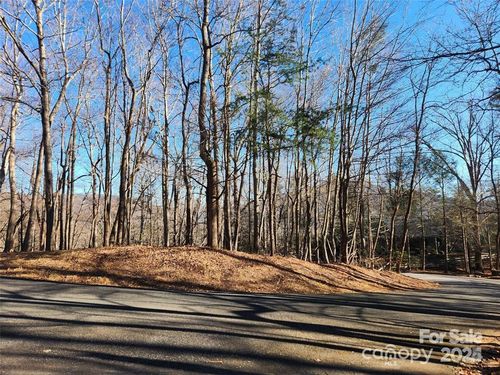 Lot 218 Bolt Rd, Lake Lure, NC, 28746 | Card Image