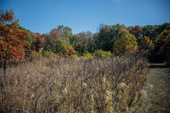802 Union Rd, House other with 4 bedrooms, 2 bathrooms and 4 parking in Harmon IL | Image 56