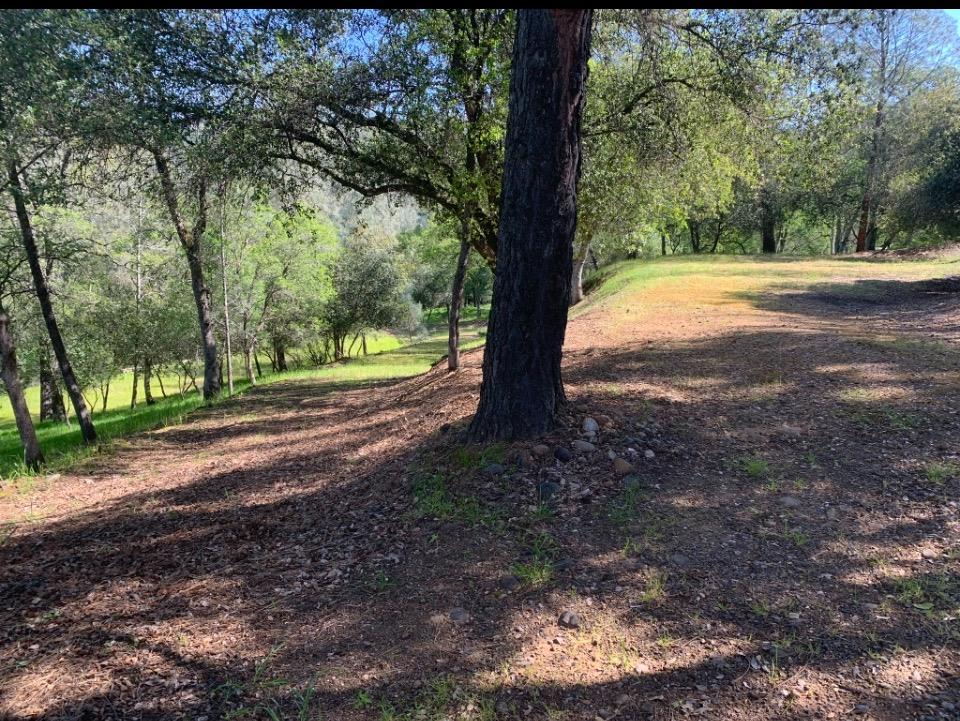 Land in Oroville 3