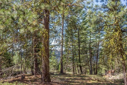 161 Little Donner Dr, Cascade, ID, 83611 | Card Image
