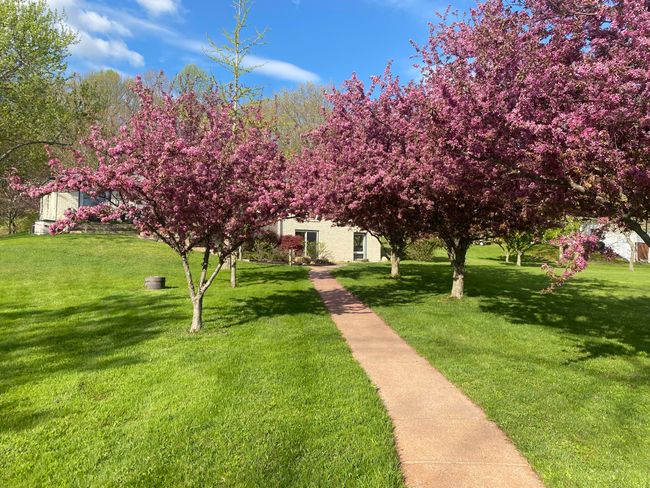 47233 County Road 380, House other with 5 bedrooms, 3 bathrooms and null parking in Grand Junction MI | Image 57
