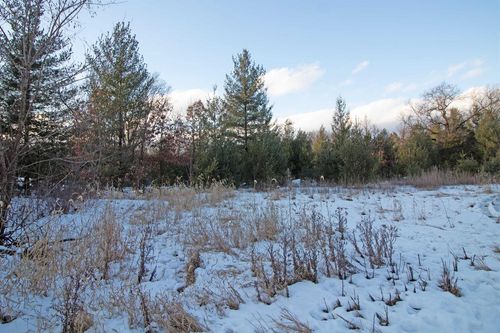 Lot20 Timber Trail, Spring Green, WI, 53588 | Card Image
