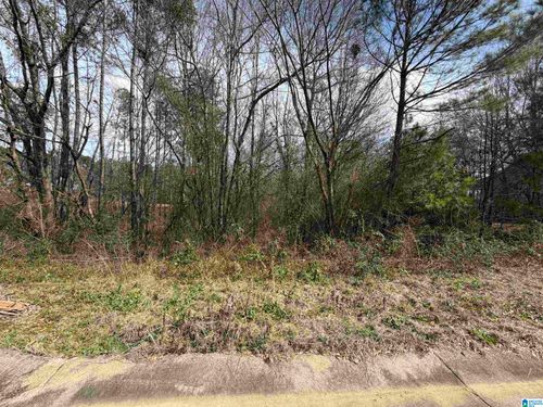 67-1112 Baylor Ct, Pell City, AL, 35125-5109 | Card Image