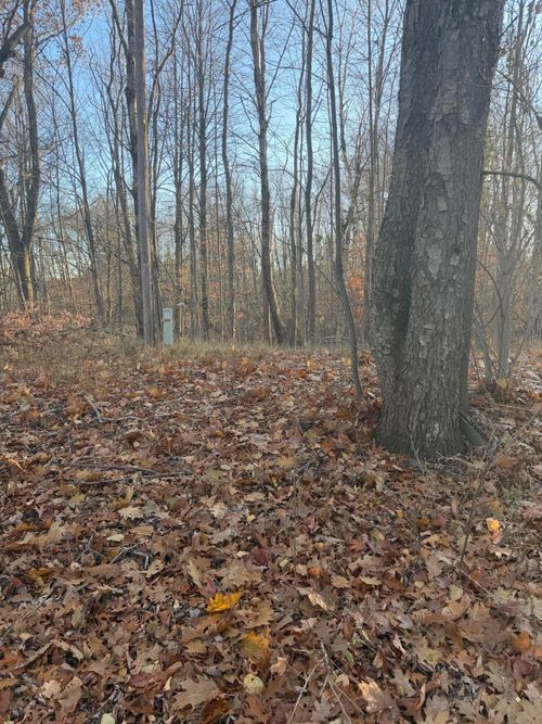 8734 15 Mile Rd, Paris, MI, 49338-9683 | Card Image