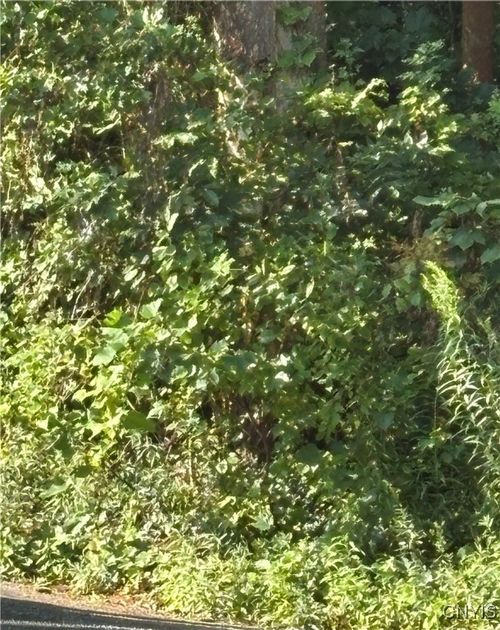 0 Pellet Rd, Hannibal, NY, 13074 | Card Image