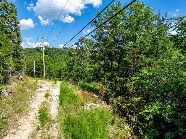 View of woods | Image 5