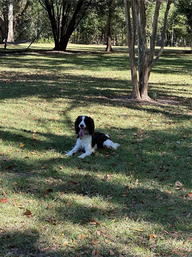 MOMMY SAYS I'M NOT INCLUDED! | Image 74