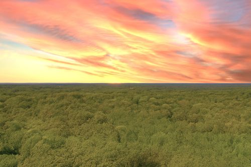 138 Vaughn Rd, Charlotte, TN, 37036-5334 | Card Image