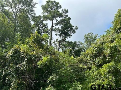 TBD Frankston St, Jacksonville, TX, 75766 | Card Image