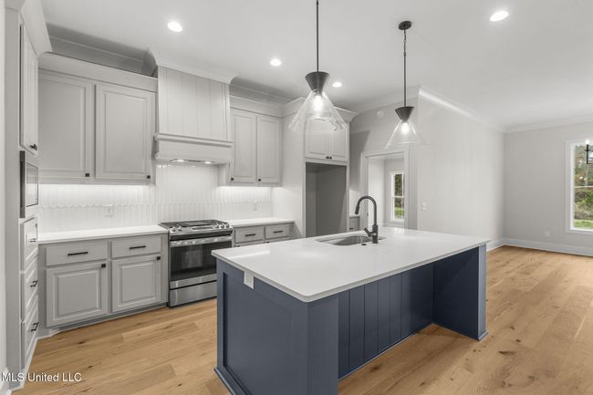 15-web-or-mls-202 Lizzy-17 | Image 13