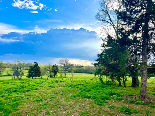 lot17-401 Appaloosa Trail, Wilmore, KY, 40390 | Card Image