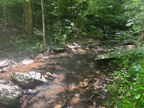 000 Chimney Rock Rd, Shirley, AR, 72153 | Card Image