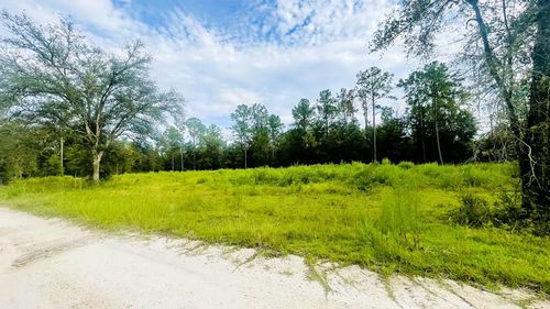 Lot 217 Ne 96th Ave, BRONSON, FL, 32621 | Card Image
