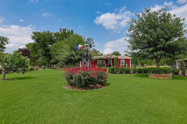 View of yard | Image 37