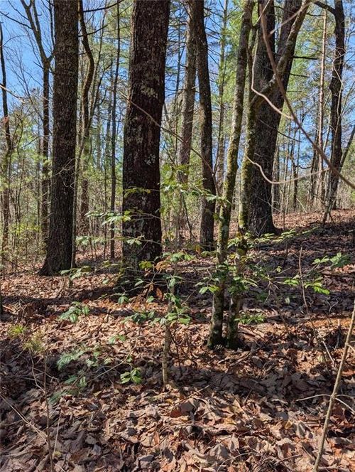 0 Amber Ln, Ellijay, GA, 30540 | Card Image
