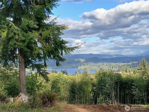 132 Salem Plant Rd, Silver Creek, WA, 98585-9602 | Card Image