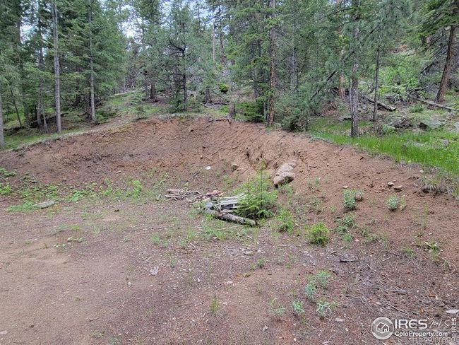 1 Mountain Lion Track Court, Home with 0 bedrooms, 0 bathrooms and null parking in Livermore CO | Image 16