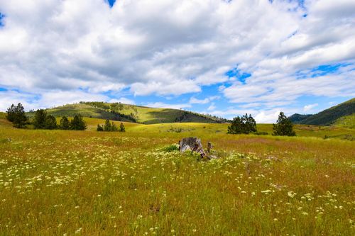 Tract 2 Henry Creek Road, Plains, MT, 59859 | Card Image
