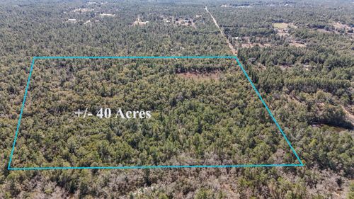 40 Ac Holly Tree Ln, Crestview, FL, 32539-7631 | Card Image