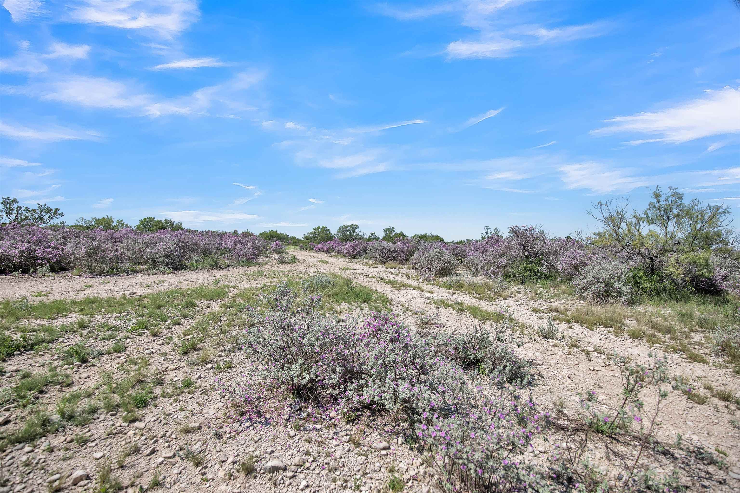 Land in Del Rio 4