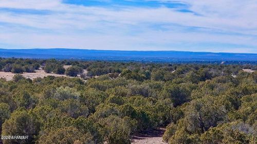 --9023 Appaloosa Trl Lot D , 10 Acres --, Show Low, AZ, 85901 | Card Image
