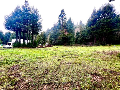 510 Wilder Road, Carlotta, CA, 95528 | Card Image