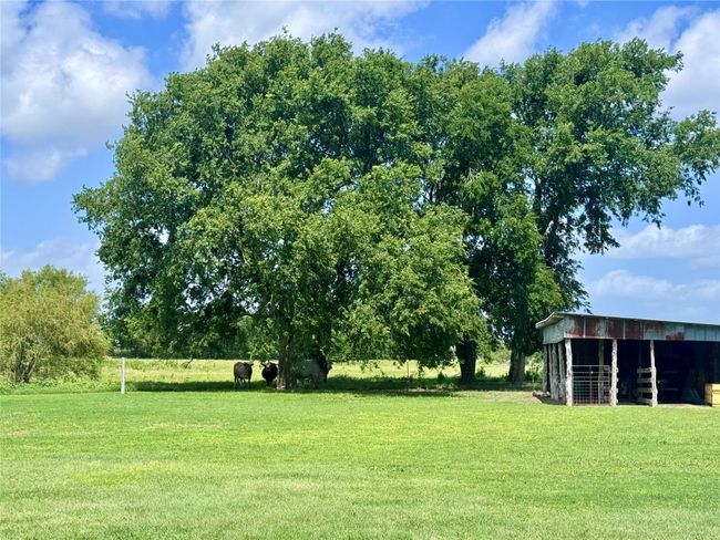 13801 Krause Rd, Home with 4 bedrooms, 3 bathrooms and 6 parking in Holland TX | Image 11